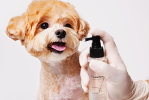 Pet Dental Spray